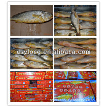 Hot sale yellow croaker gift box packaging